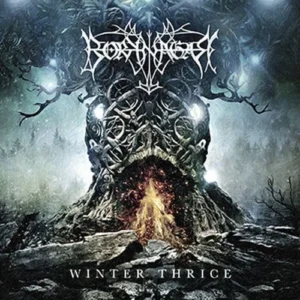 borknagar winter thrice CD