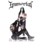 immortal at the heart of winter vinyl reissue in gatefold and black silver galaxy vinyl
