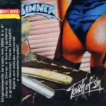 sinner touch of sin CD brasil import